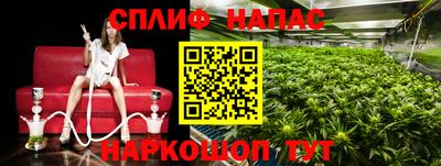 наркотики Гусиноозёрск