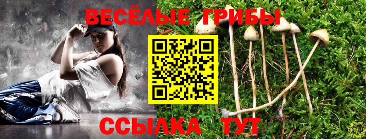 Галлюциногенные грибы Psilocybine cubensis  Вход с VPN  закладка  Муром 